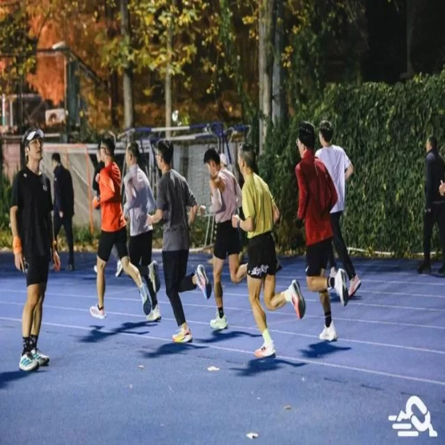 解析关键数据与趋势解读：新闻资讯全景分析